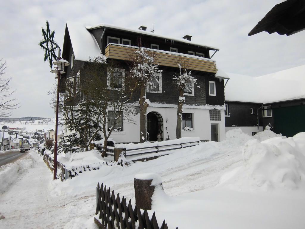 Hotel Dribischenhof à Usseln Extérieur photo