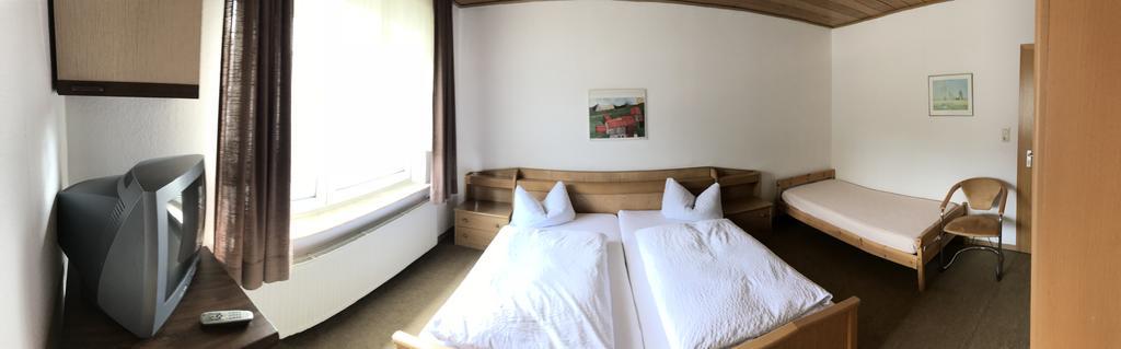 Hotel Dribischenhof à Usseln Extérieur photo